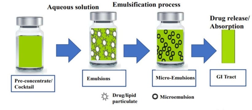 emulsion micro emulsion